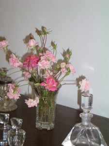 Nuestras flores- Rojas Nov 2007,  rosas, abril 2008 008